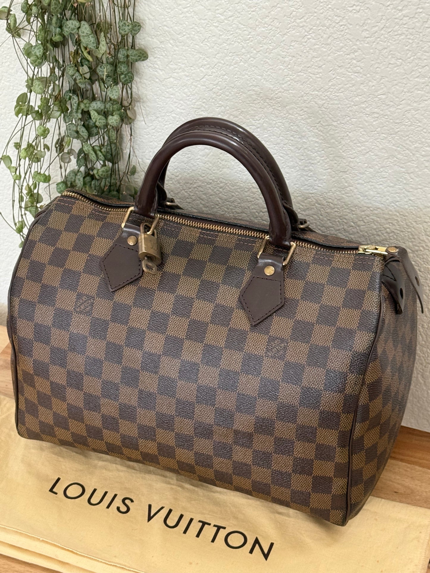 Speedy 30 in DE with π Lock & Key and Dustbag - π
Year: 2008