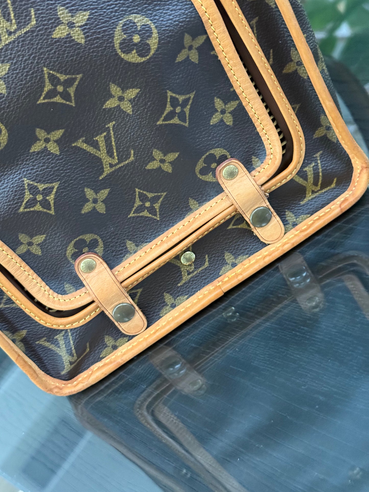 Sac Chien Monogram Pet Carrier 40 with Luggage Tag 🗓️ Year: 2004