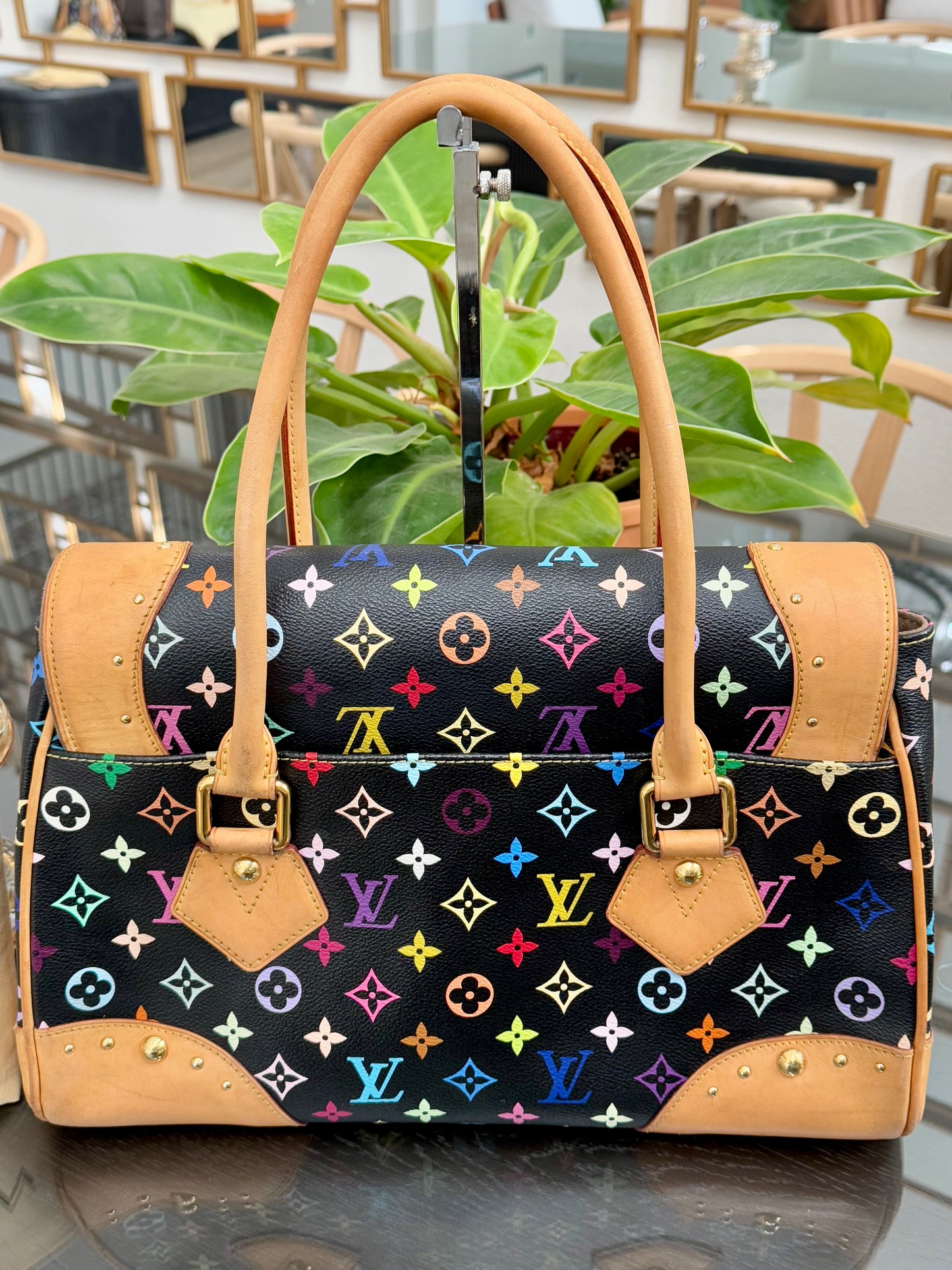 Multicolor Beverly GM with Dustbag ๐
Year: 2000