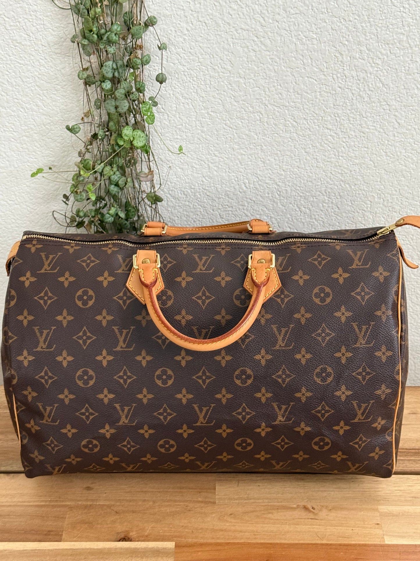 Speedy 40 - ๐
2000