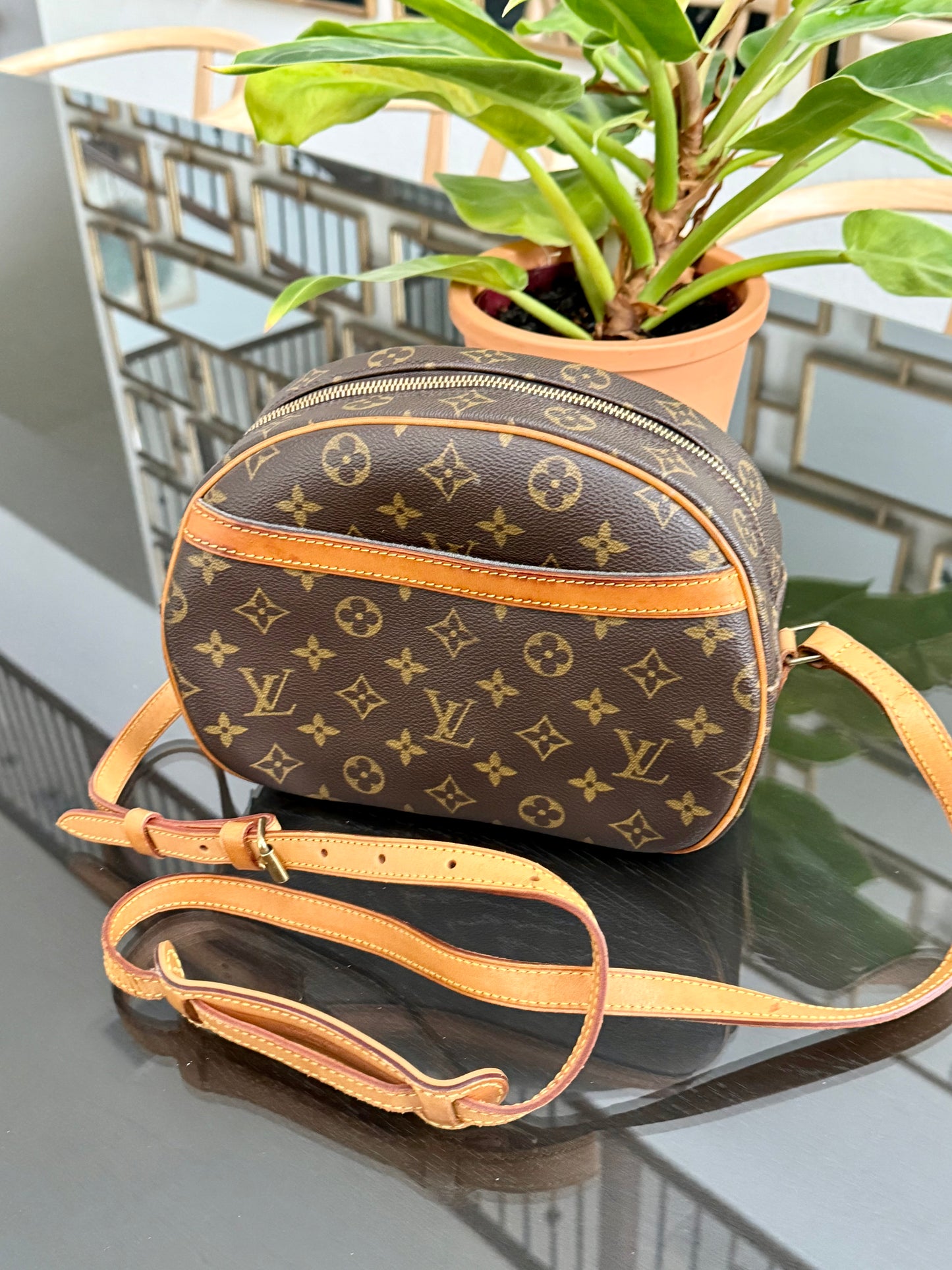 Blois Crossbody -🗓️ Year: 2000