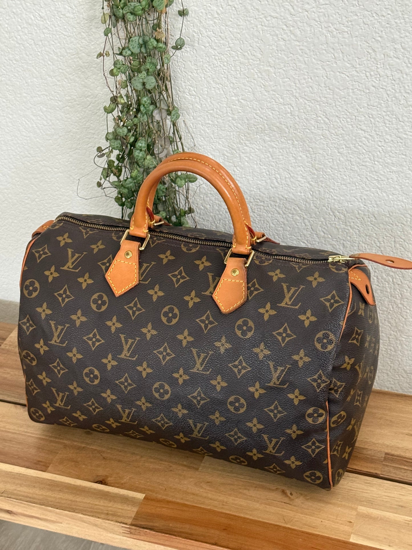Speedy 35 with Dustbag - ๐
Year: 2000