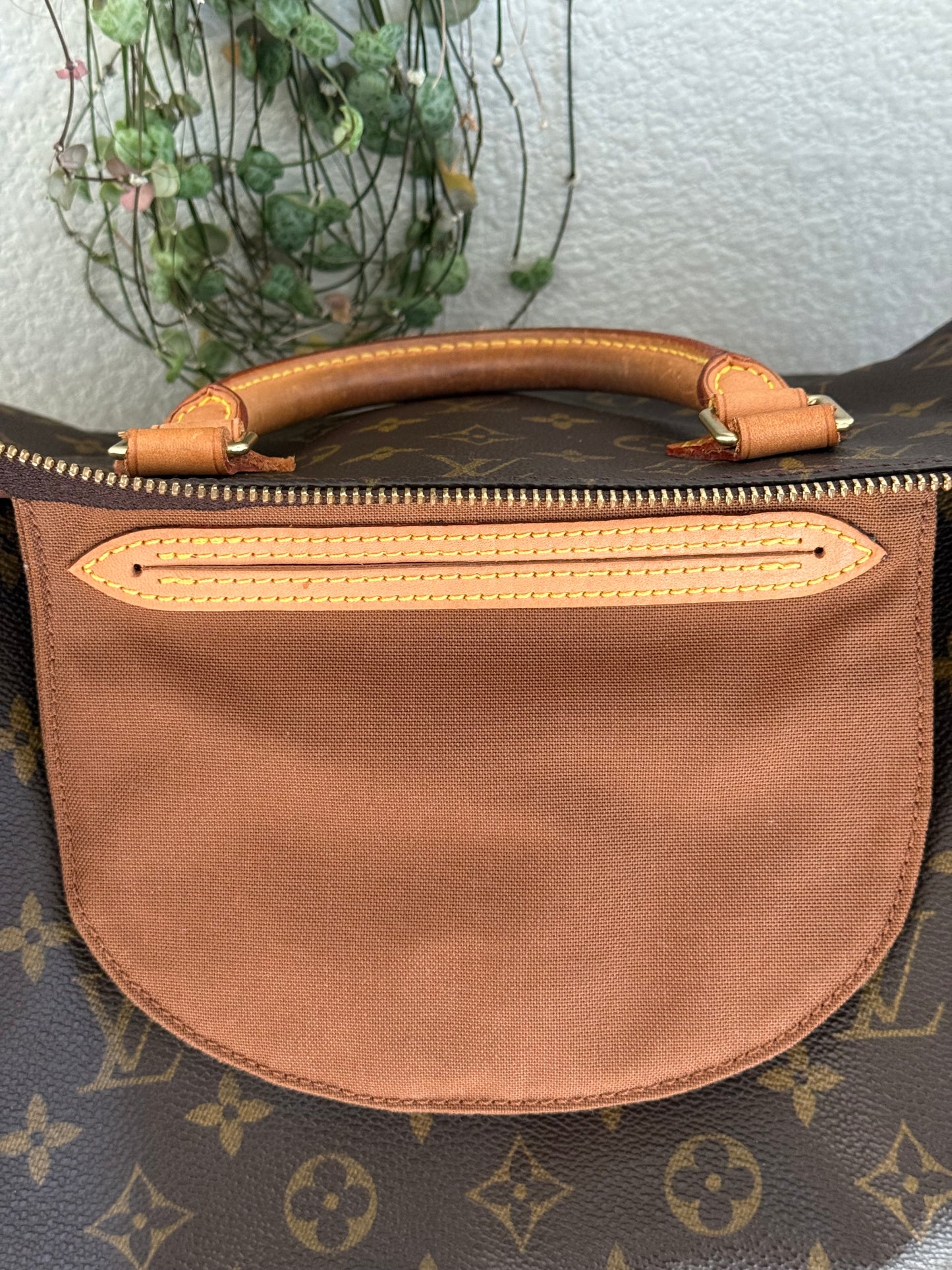 Speedy 40 with Dustbag- π
Year: 2000