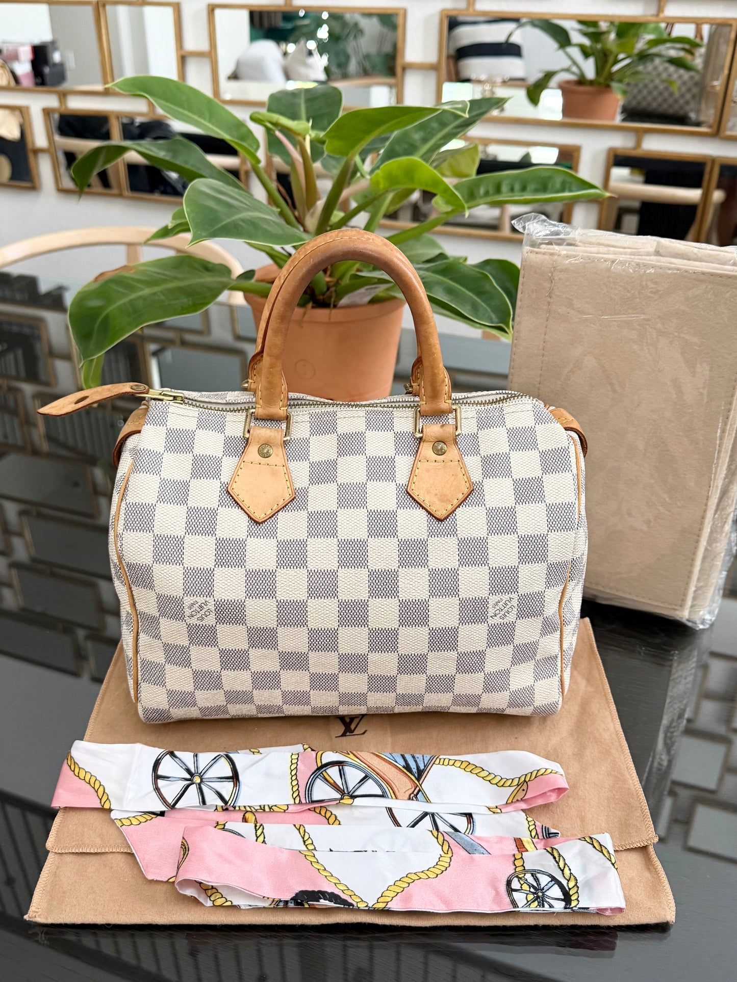Speedy 25 Azur with Dustbag, insert organizer and twilly
๐๏ธ Year: 2007