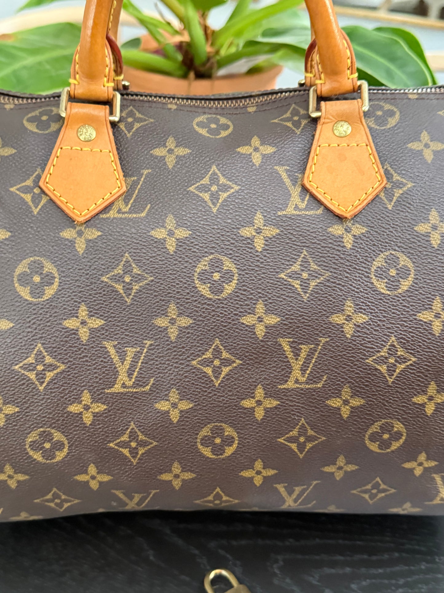 Speedy 30 with π Lock & Key - π
Year: 2001