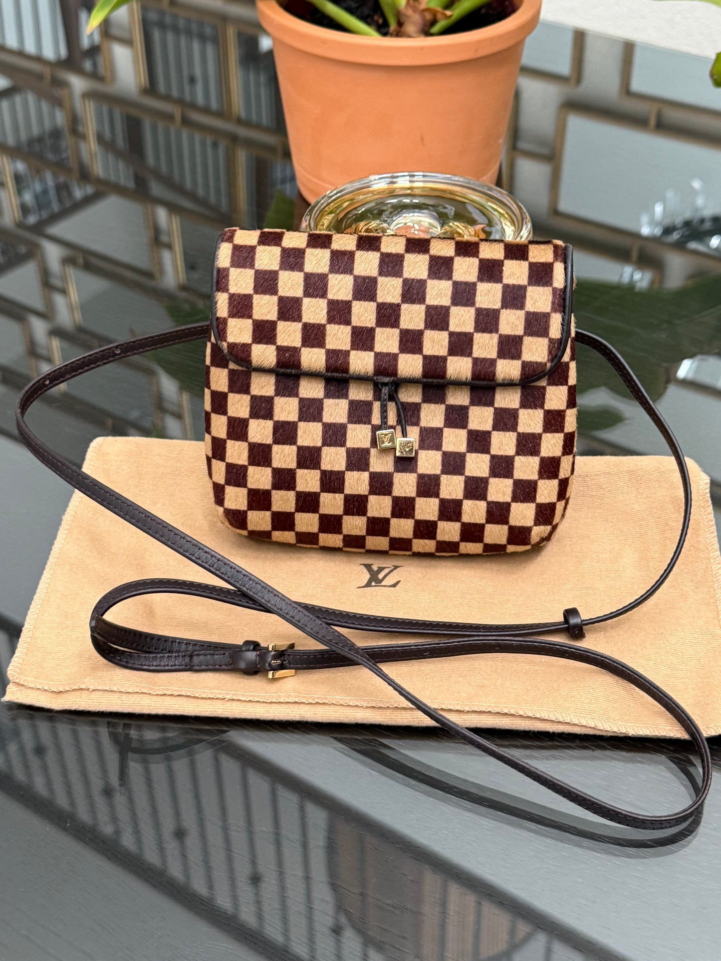 Damier Sauvage Gazelle Crossbody Pouch with Dustbag -🗓️ Year: 2001