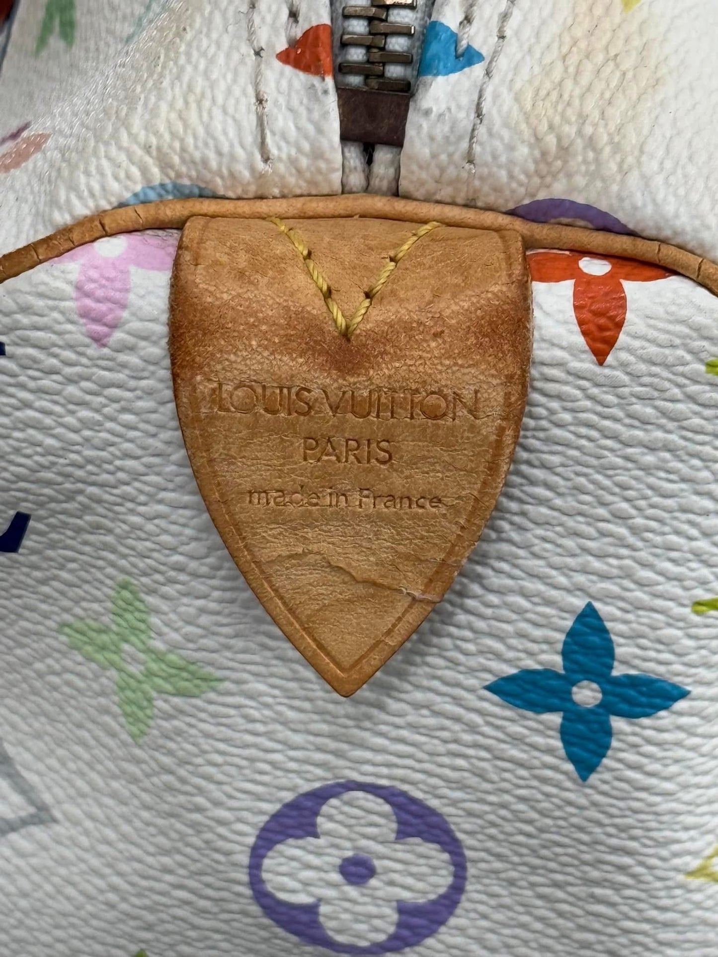 Multicolor Speedy 30 with Dustbag and Insert Organizer 📅 Year: 2006