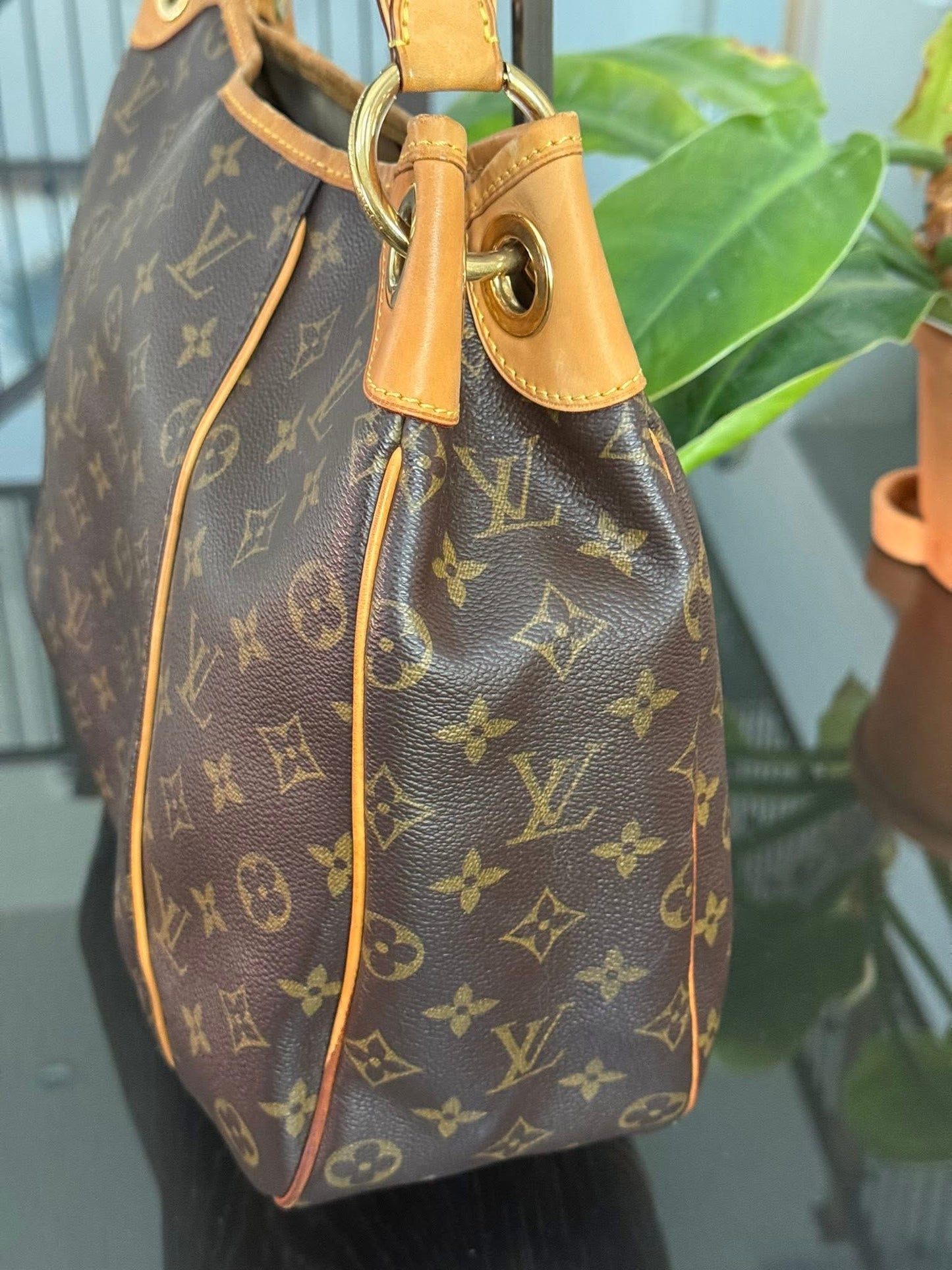Galleria PM with Dustbag and Insert Organizer 🗓️ Year: 2010