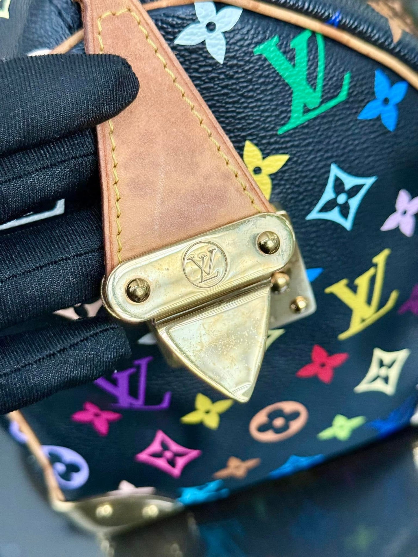 Multicolor Speedy 30 with Dustbag and generic twilly set 📅 Year: 2008