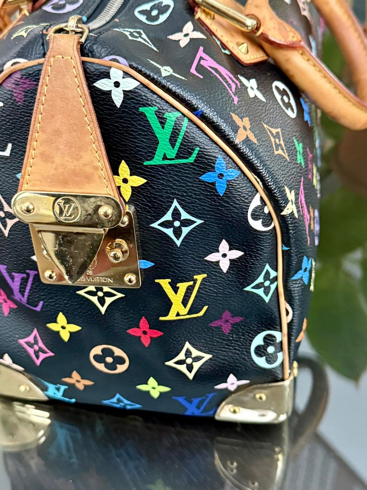 Multicolor Speedy 30 with Dustbag and generic twilly set 📅 Year: 2008