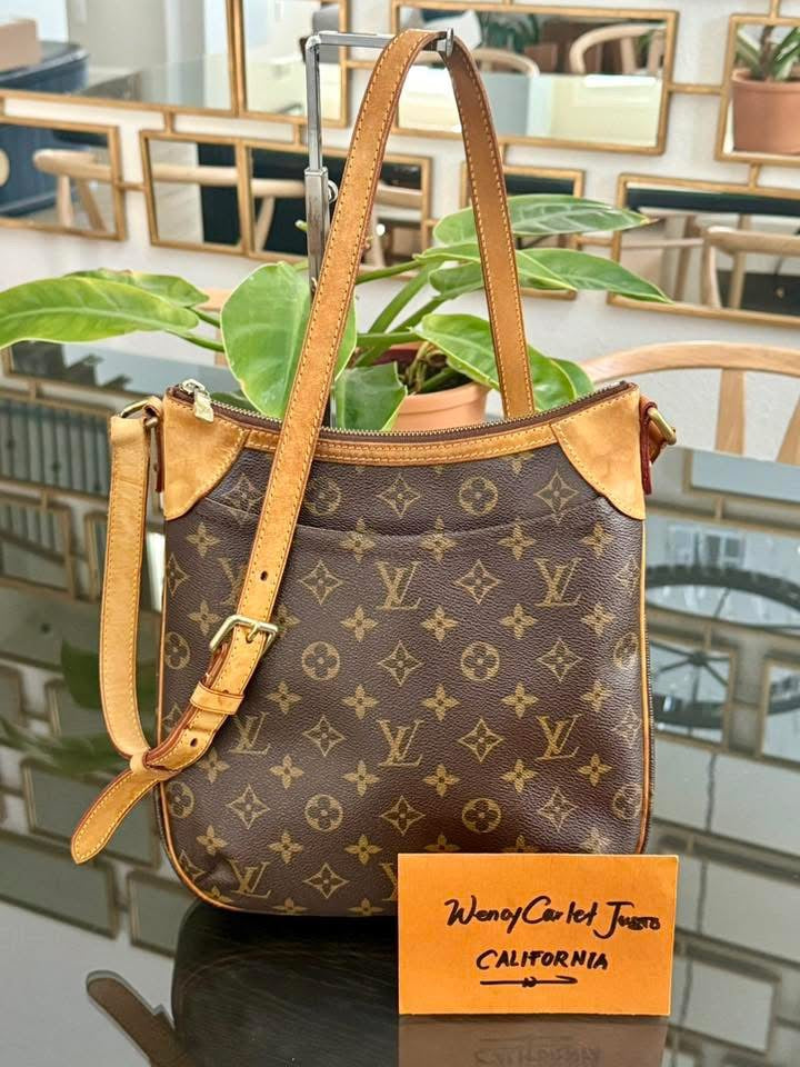 Odeon PM Crossbody -🗓️ Year: 2011