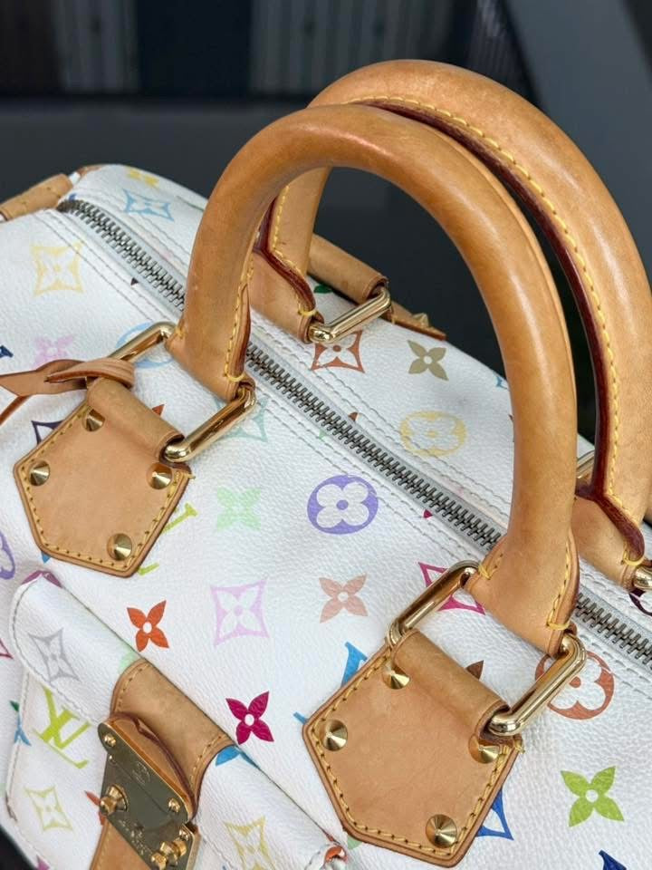 Multicolor Speedy 30 with Dustbag, Insert Organizer and generic twilly set 📅 Year: 2005