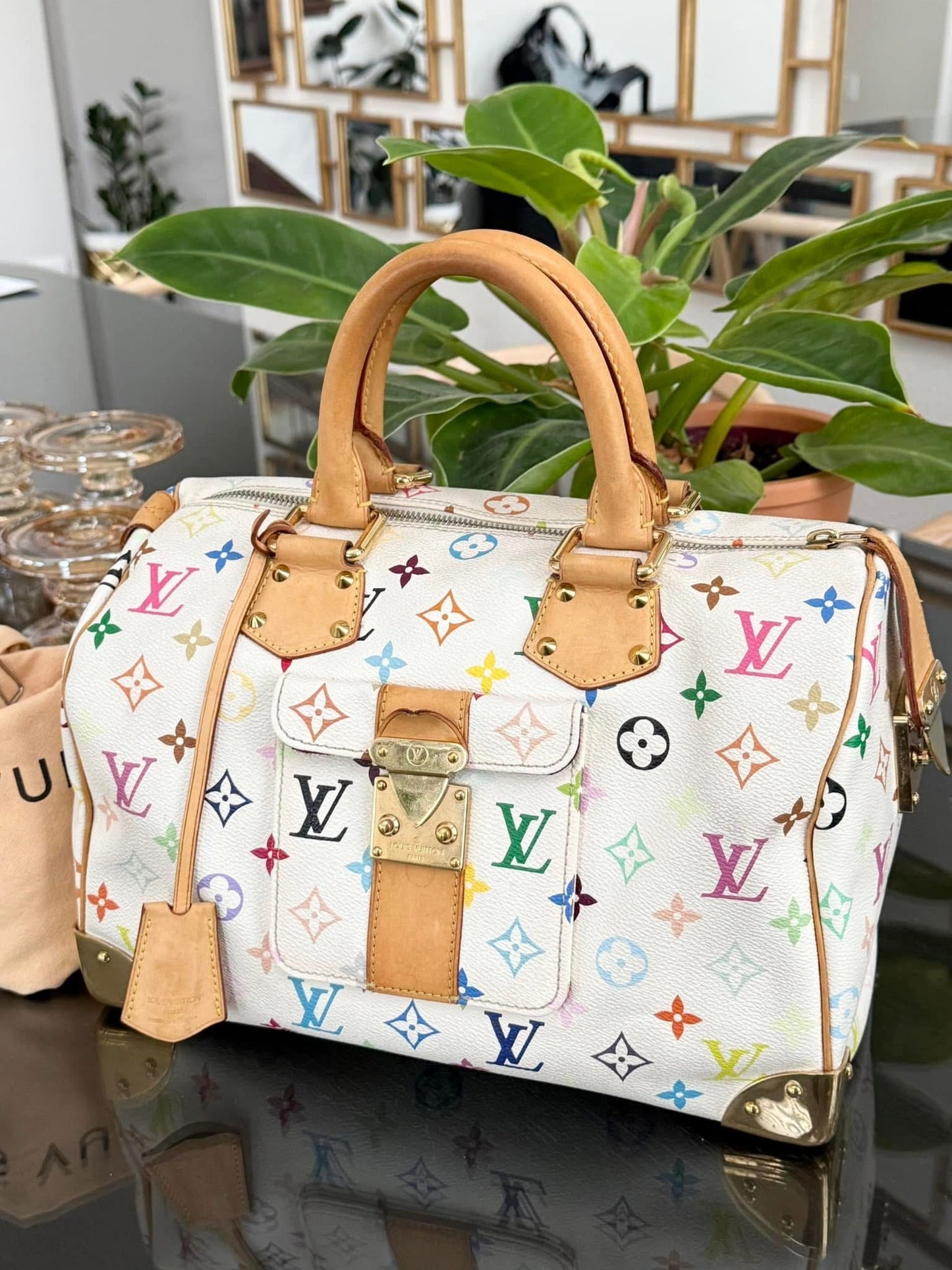 Multicolor Speedy 30 with Dustbag, clochette and keys 🔑 📅 Year: 2007