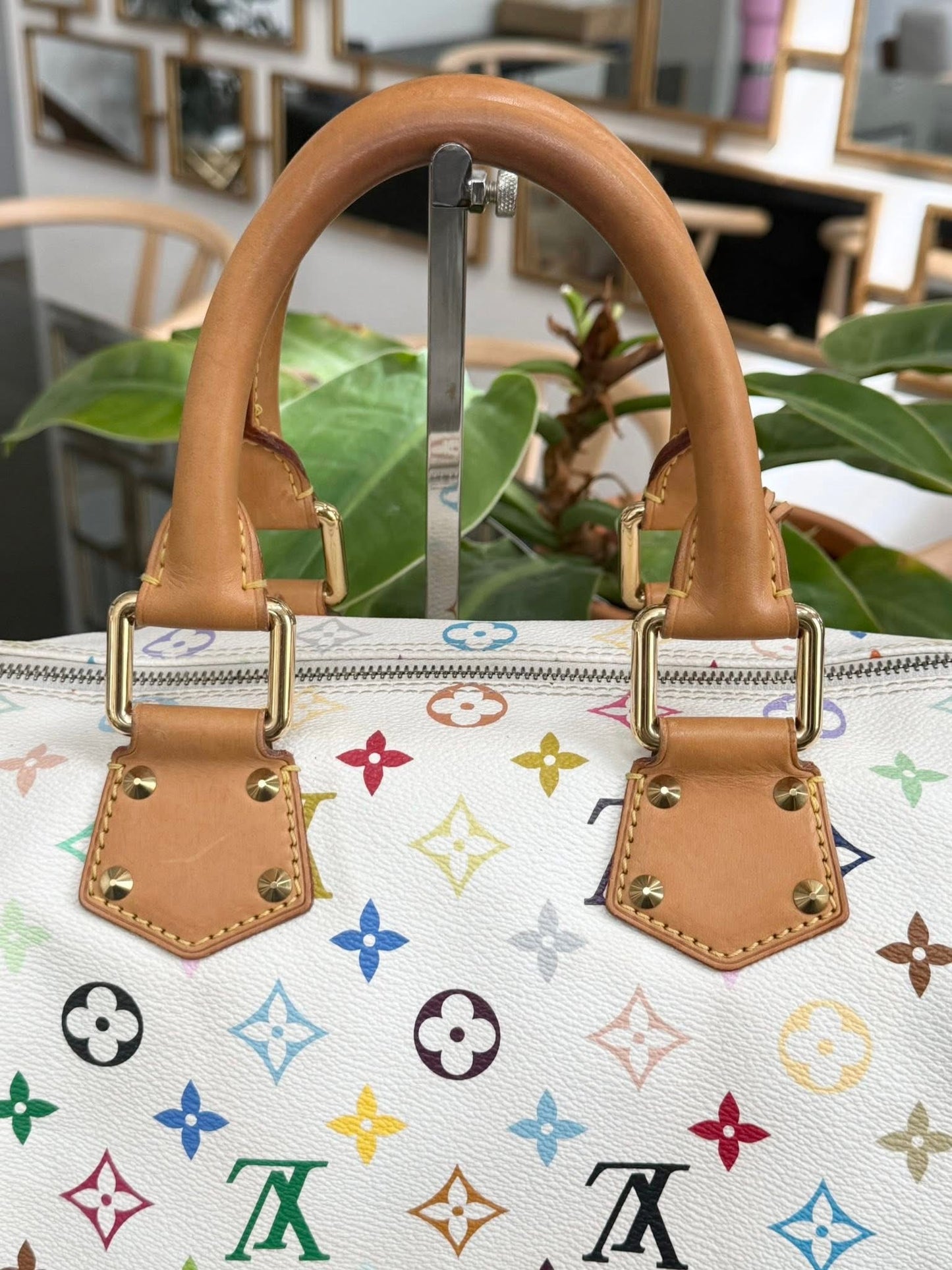 Multicolor Speedy 30 with Dustbag, twilly set and Insert Organizer 📅 Year: 2007