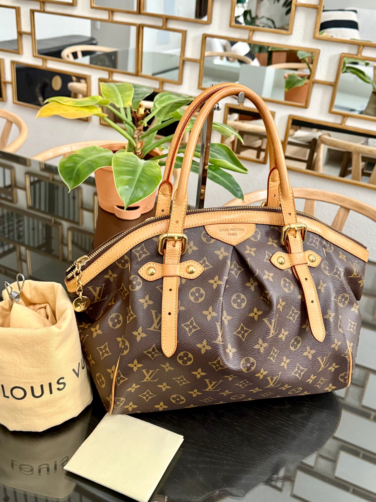 Tivoli GM with Dustbag and Insert Organizer 🗓️ Year: 2011