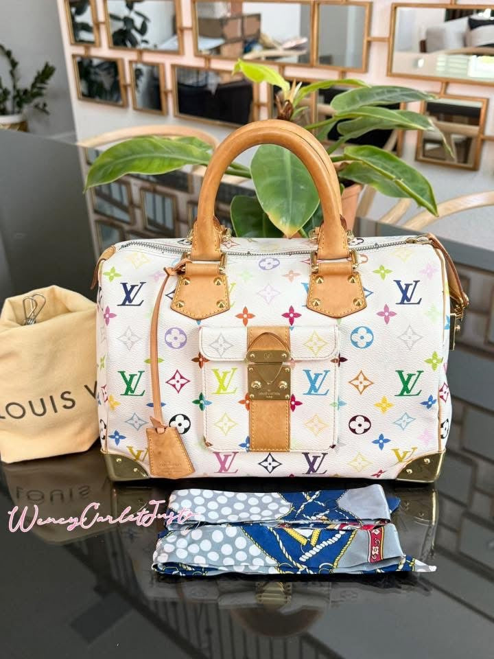 Multicolor Speedy 30 with Dustbag, Insert Organizer and generic twilly set 📅 Year: 2005