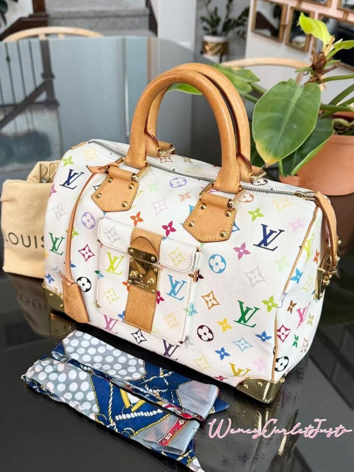 Multicolor Speedy 30 with Dustbag, Insert Organizer and generic twilly set 📅 Year: 2005