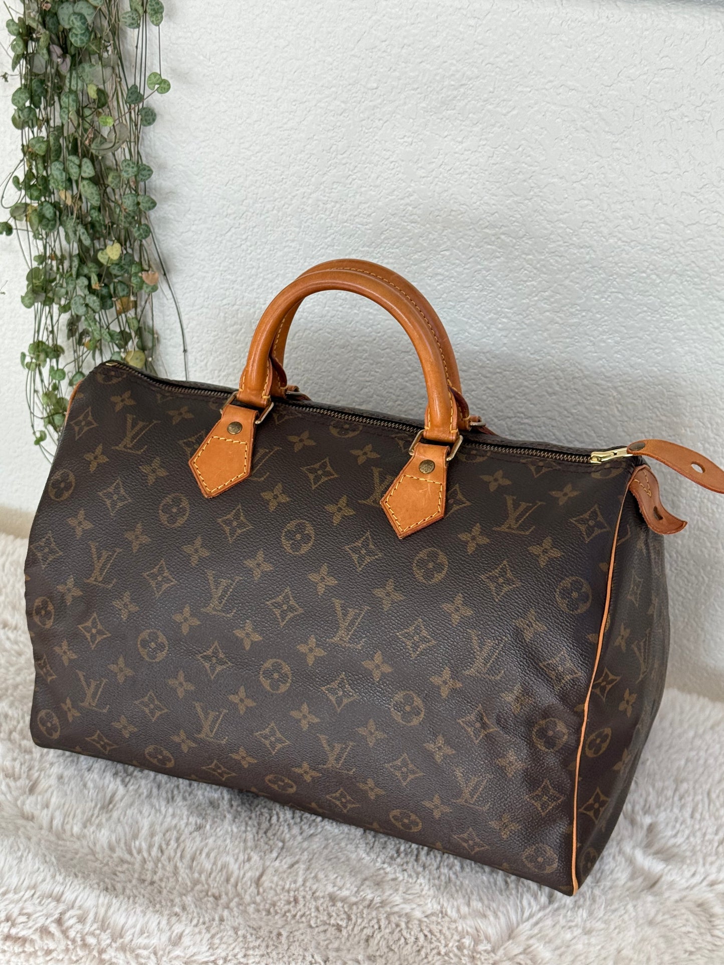 Speedy 35 with Dustbag- 📅 Year: 1994