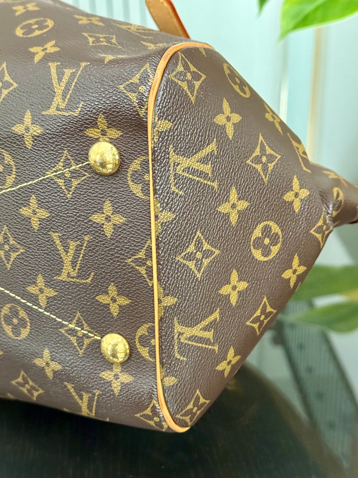 Tivoli GM with Dustbag and Insert Organizer 🗓️ Year: 2011