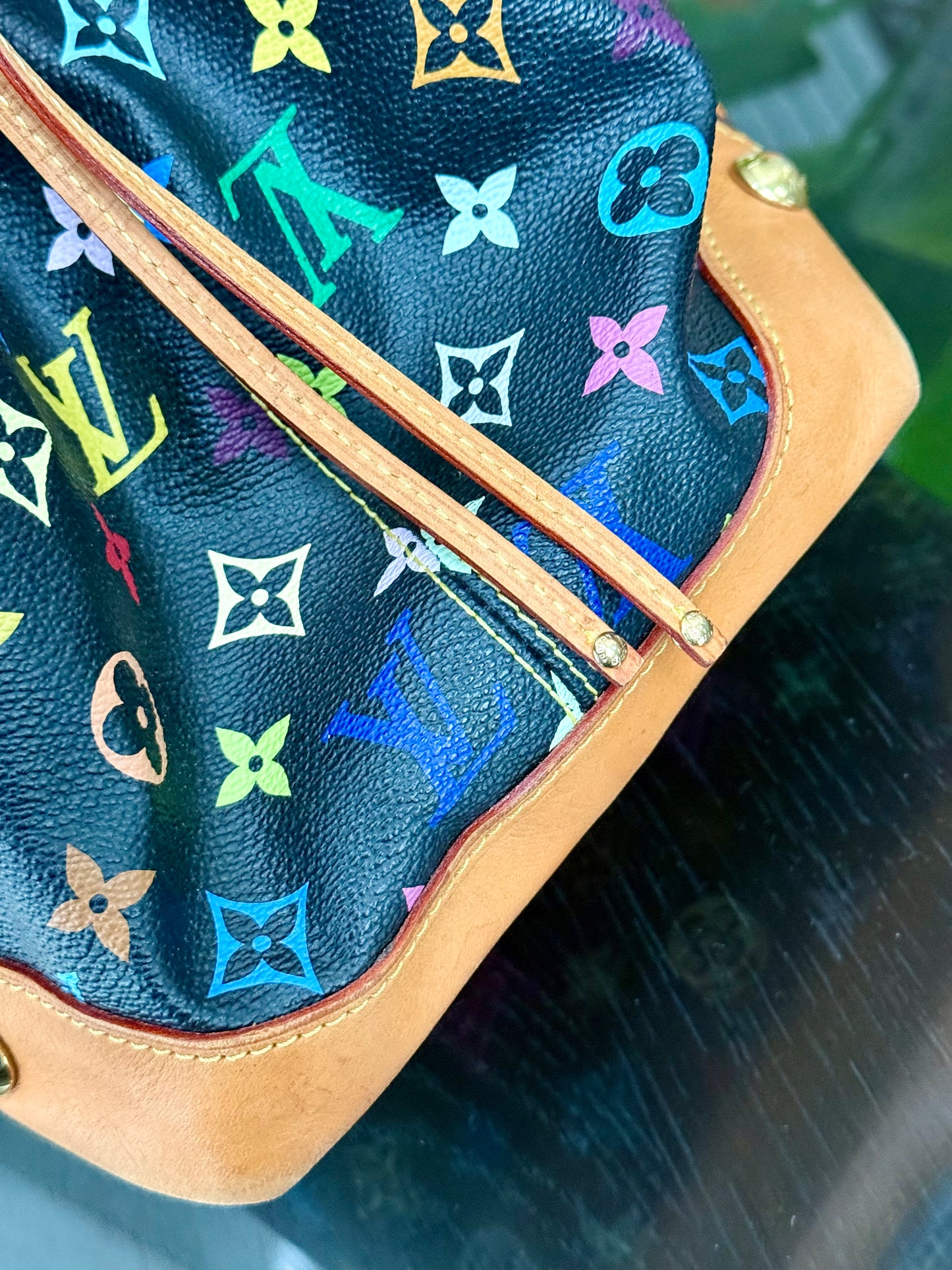 Multicolor in Black Ursula with Dustbag