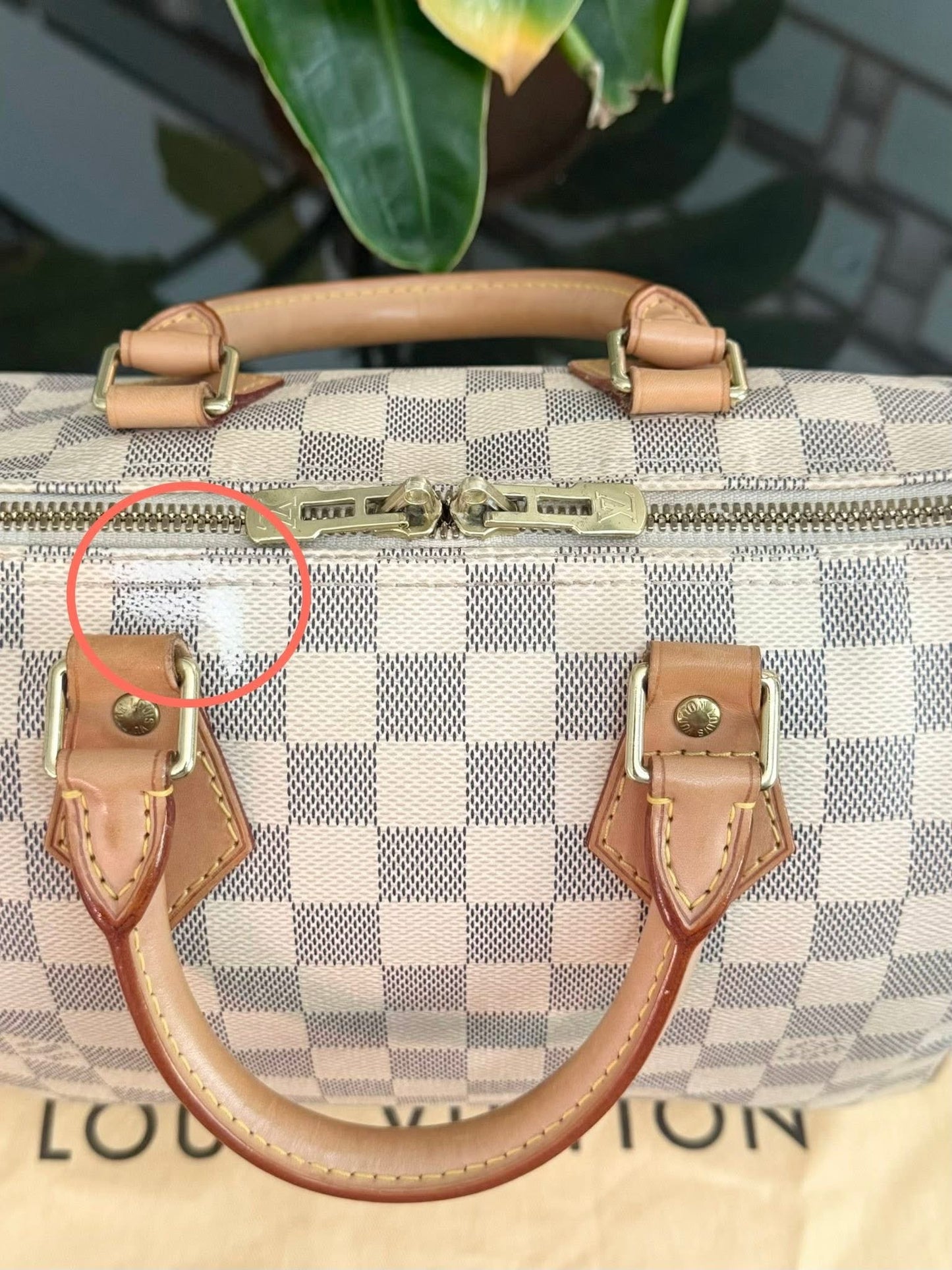 Speedy 25 Bandoulier in Azur with Original Strap, Dustbag and Insert Organizer -🗓️ Year: 2013