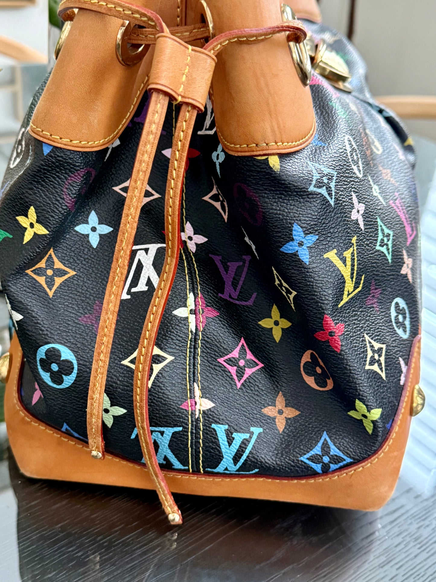 Multicolor in Black Ursula with Dustbag
