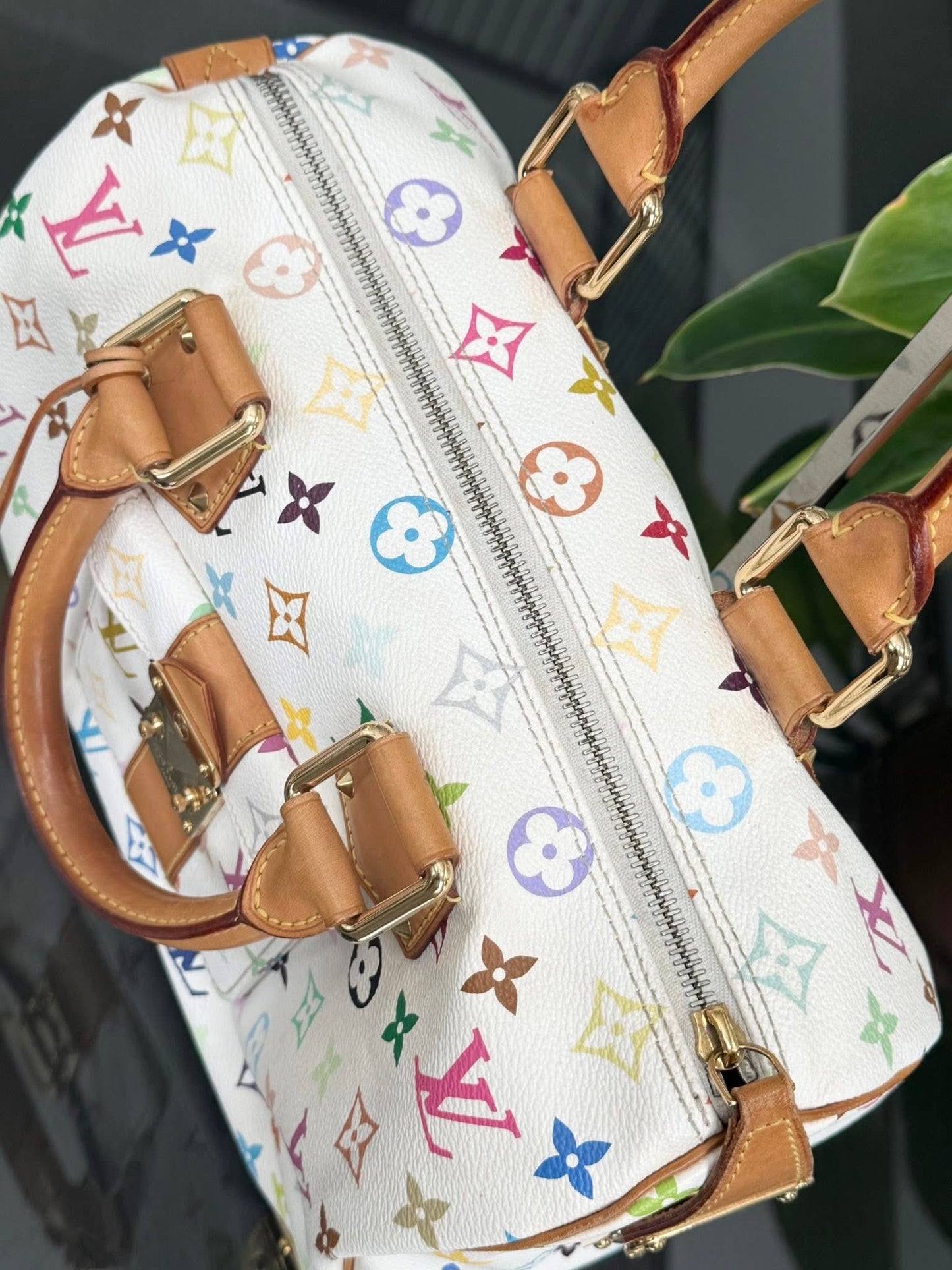Multicolor Speedy 30 with Dustbag, twilly set and Insert Organizer 📅 Year: 2007