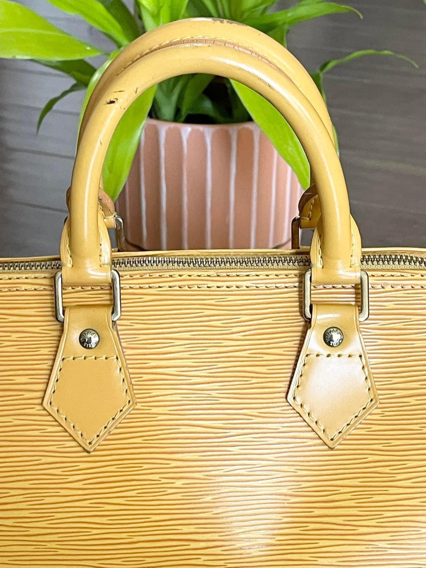 Epi Speedy 25 in Tassel Yellow -Year: 1994