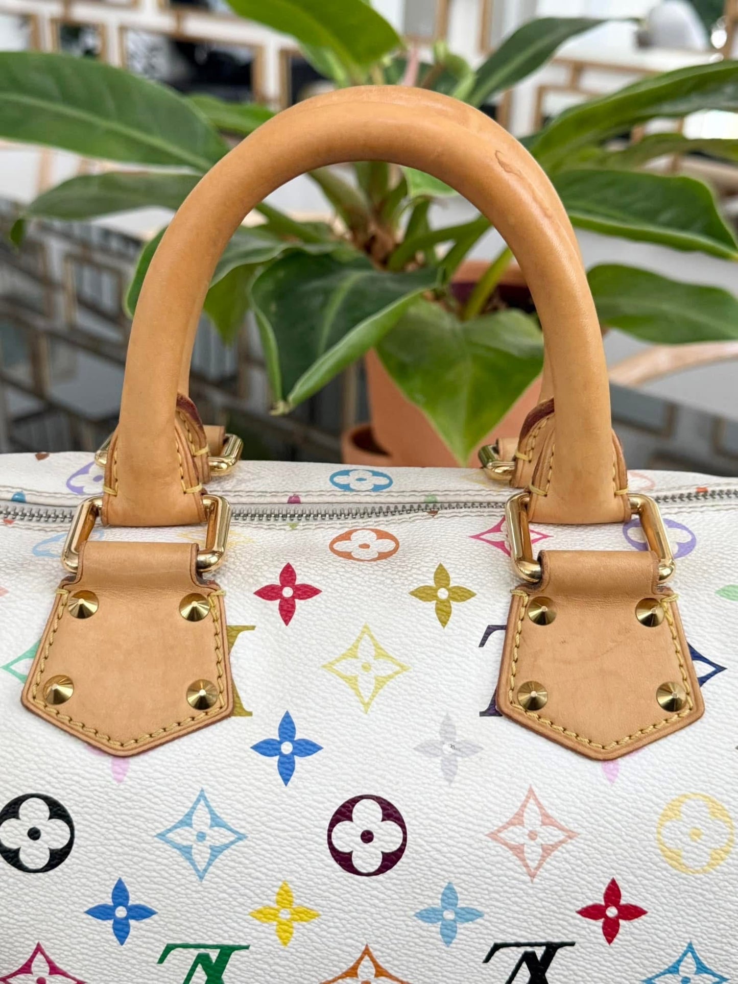 Multicolor Speedy 30 with Dustbag, clochette and keys 🔑 📅 Year: 2007