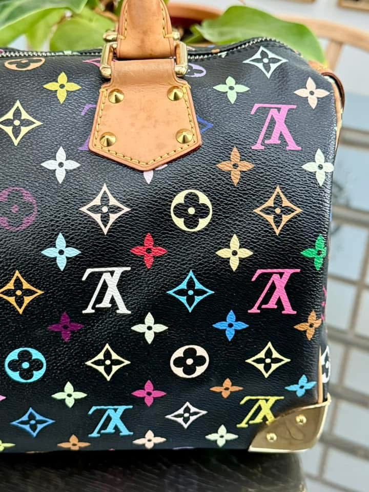 Multicolor Speedy 30 with Dustbag and generic twilly set 📅 Year: 2008