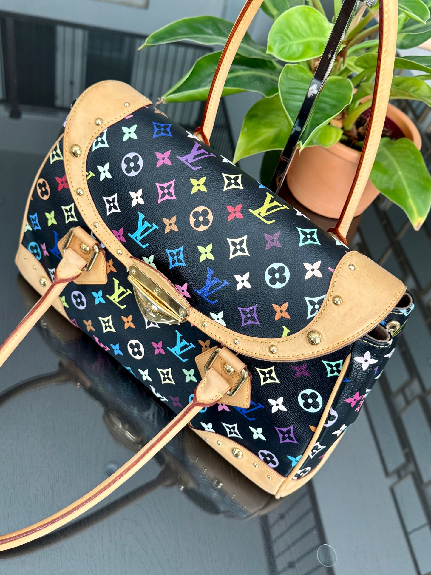 Multicolor Beverly GM with Dustbag 📅 Year: 2008