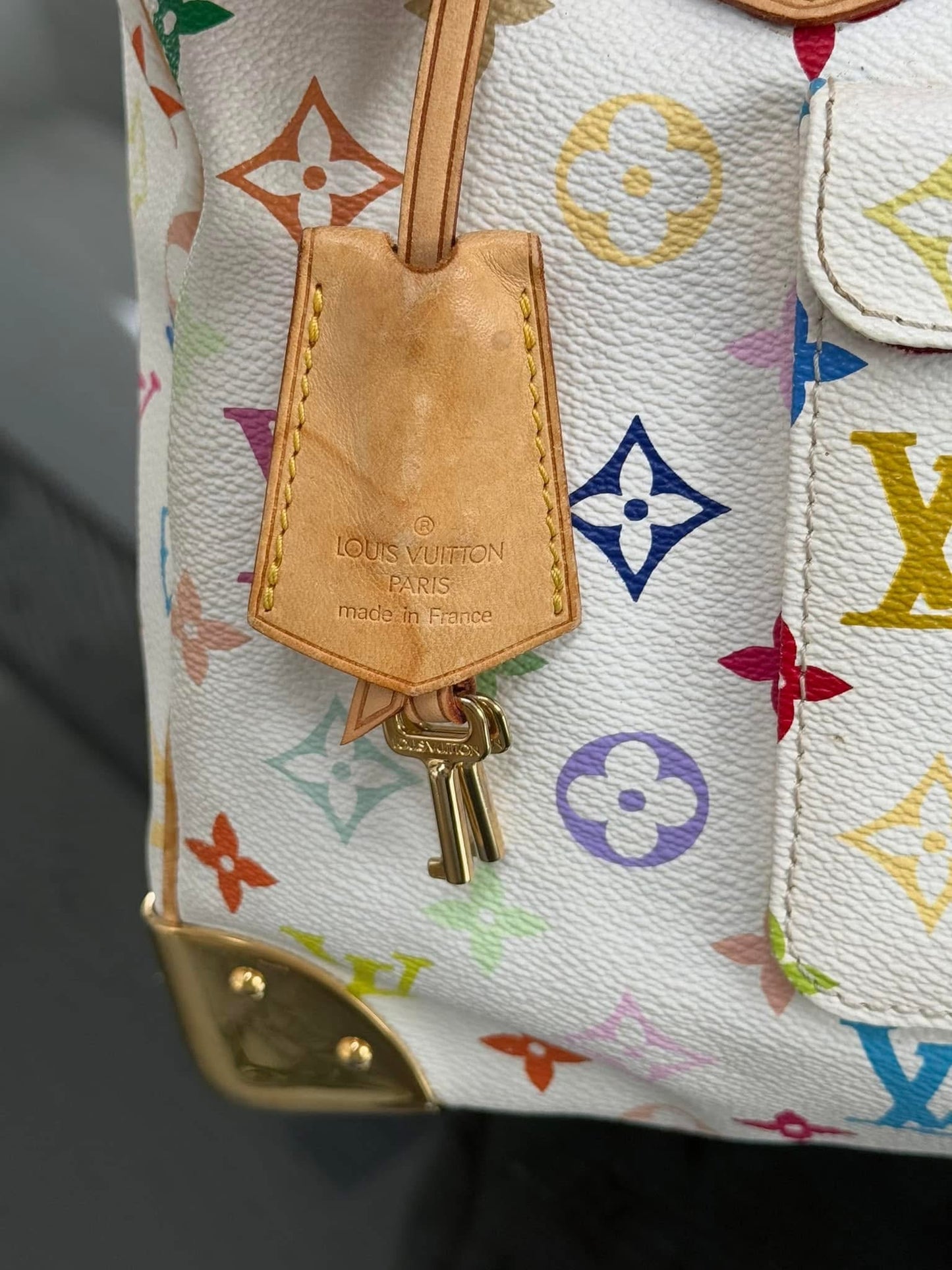 Multicolor Speedy 30 with Dustbag and Insert Organizer 📅 Year: 2006