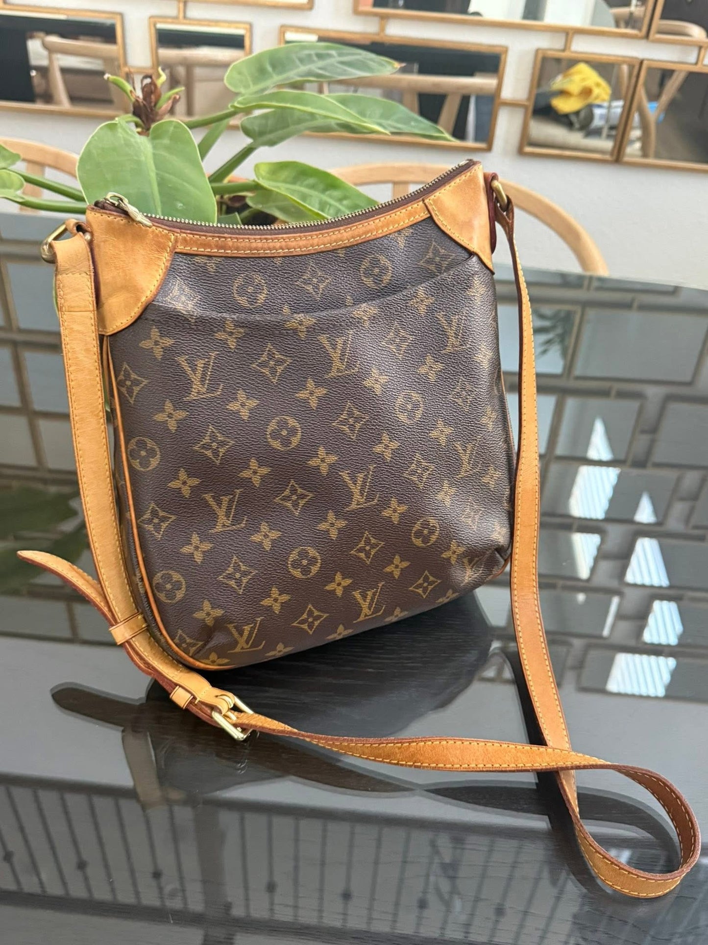 Odeon PM Crossbody -🗓️ Year: 2011