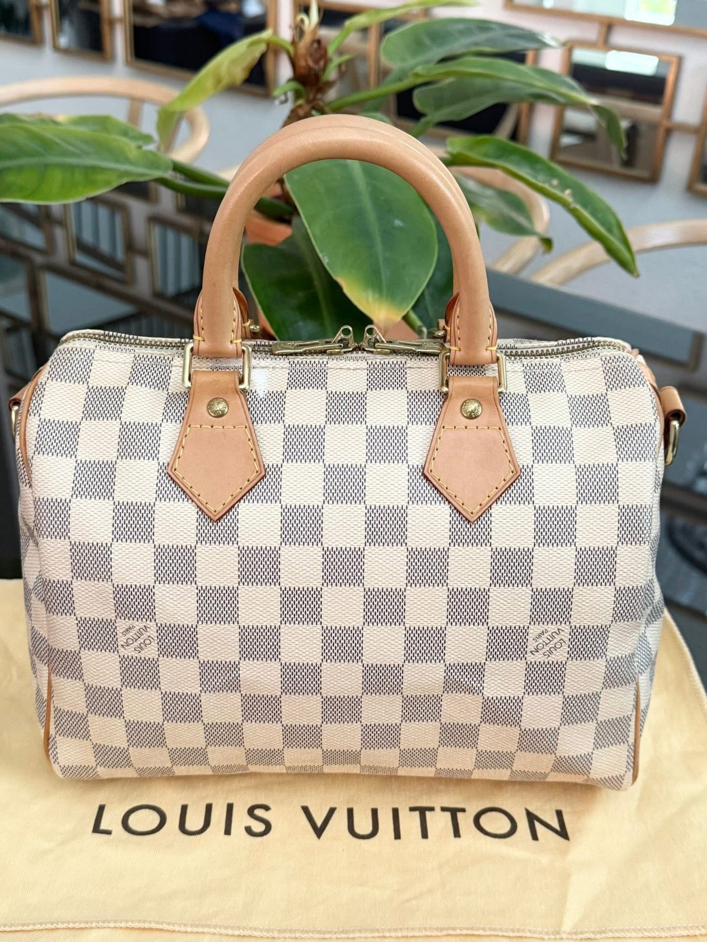 Speedy 25 Bandoulier in Azur with Original Strap, Dustbag and Insert Organizer -🗓️ Year: 2013