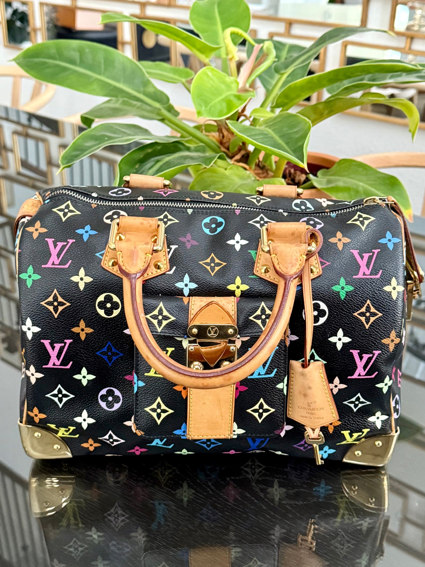 Multicolor Speedy 30 with Dustbag and twilly set 📅 Year: 2008