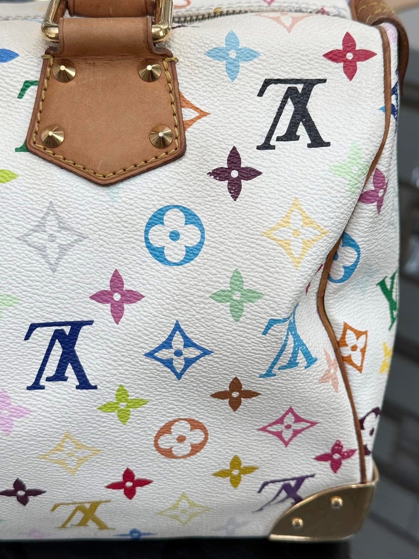 Multicolor Speedy 30 with Dustbag and twilly set 📅 Year: 2008