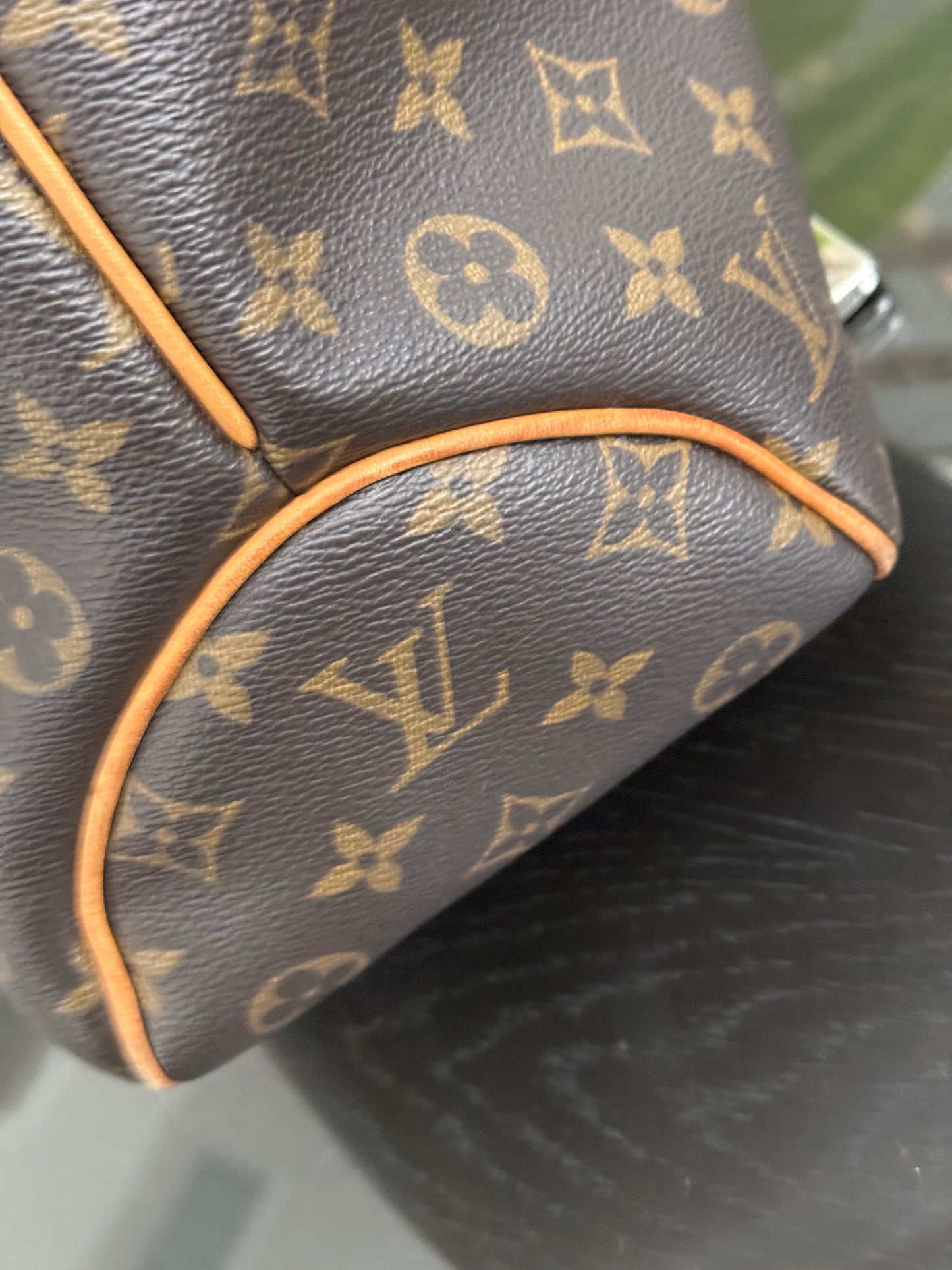 Delightful PM with Dustbag and Insert Organizer 🗓️ Year: 2012