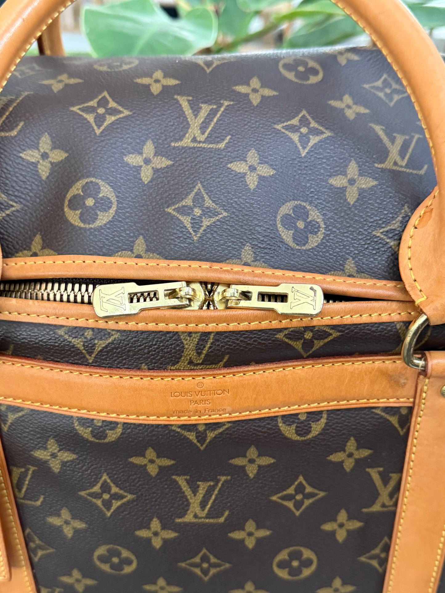Sac Chien Monogram Pet Carrier 40 with Luggage Tag 🗓️ Year: 2004