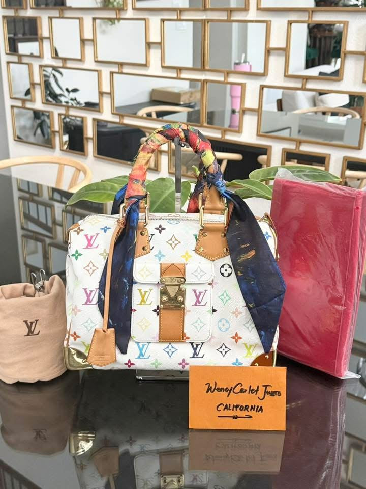 Multicolor Speedy 30 with Dustbag, twilly set and Insert Organizer 📅 Year: 2007