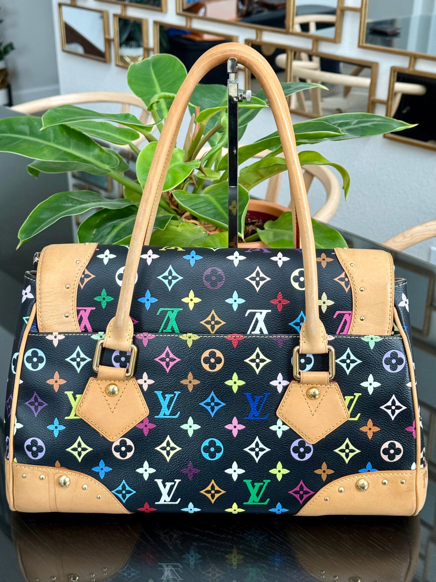 Multicolor Beverly GM with Dustbag 📅 Year: 2008