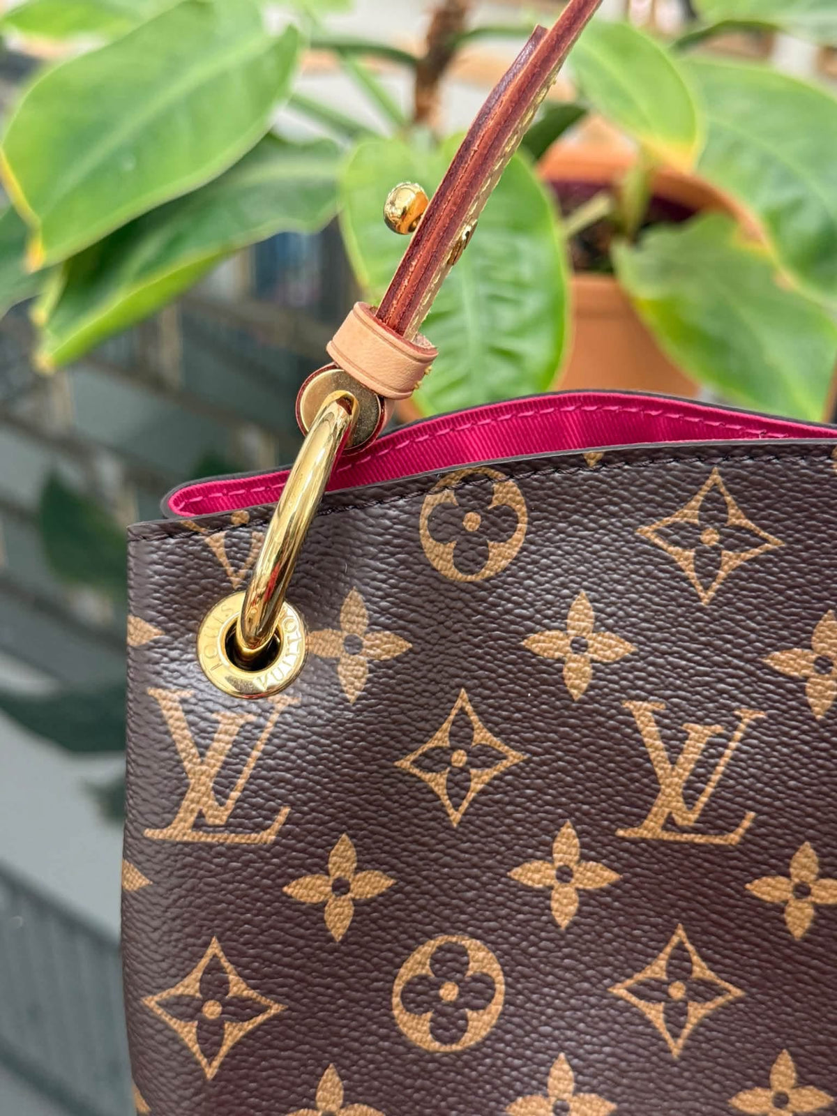 Graceful PM in Peony with Dustbag 📅 Microchipped