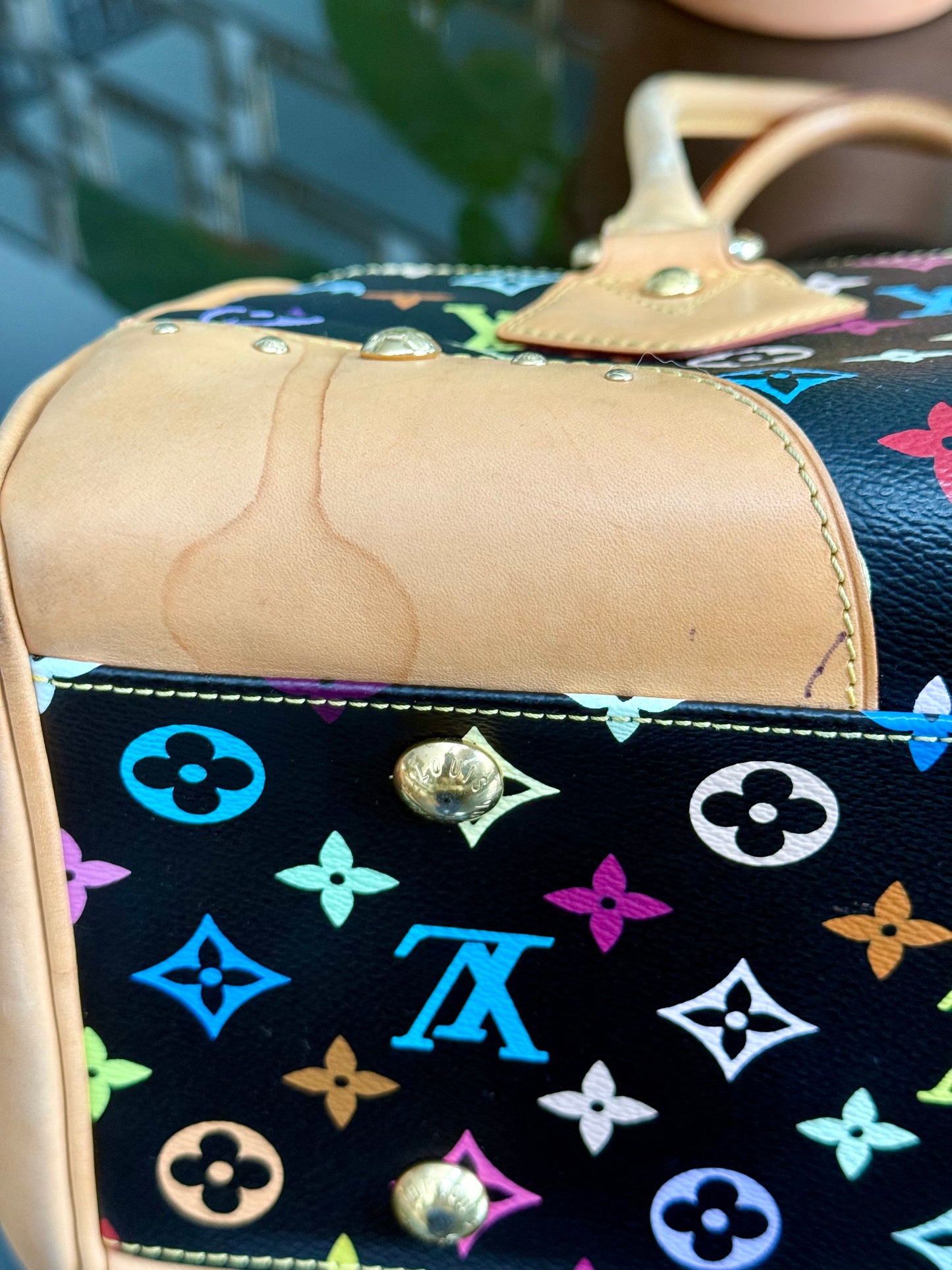 Multicolor Beverly GM with Dustbag 📅 Year: 2008