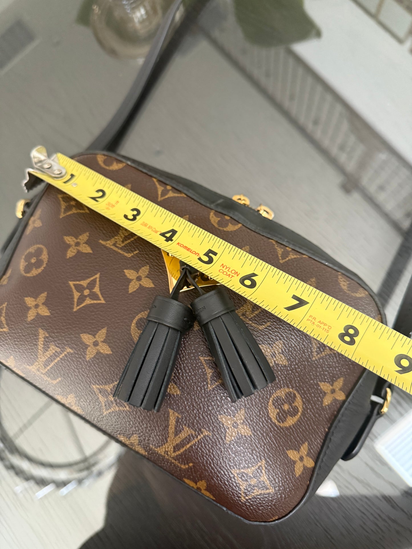 Saintonge Monogram Noir Crossbody -🗓️ Year: 2018