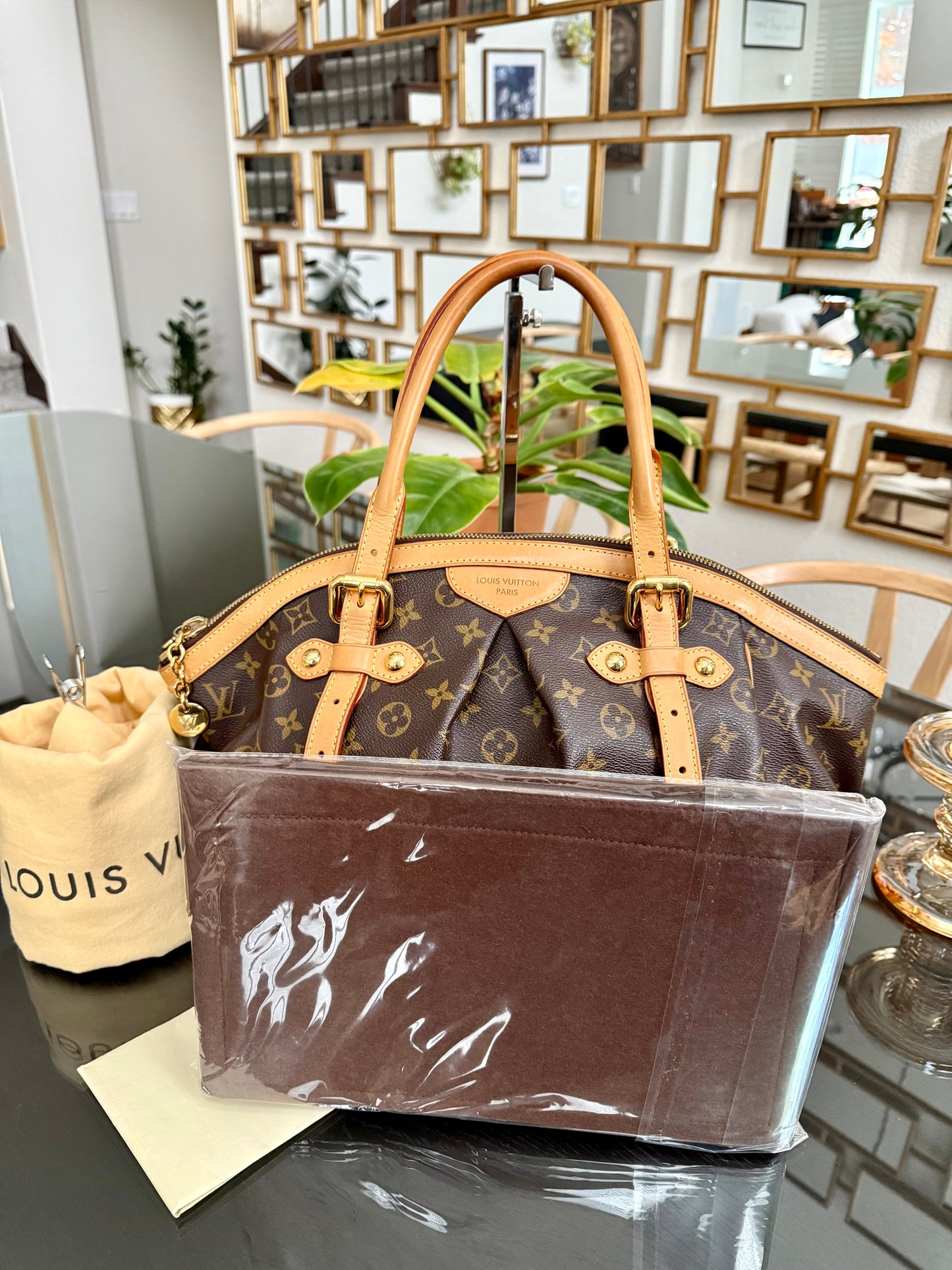 Tivoli GM with Dustbag and Insert Organizer 🗓️ Year: 2011