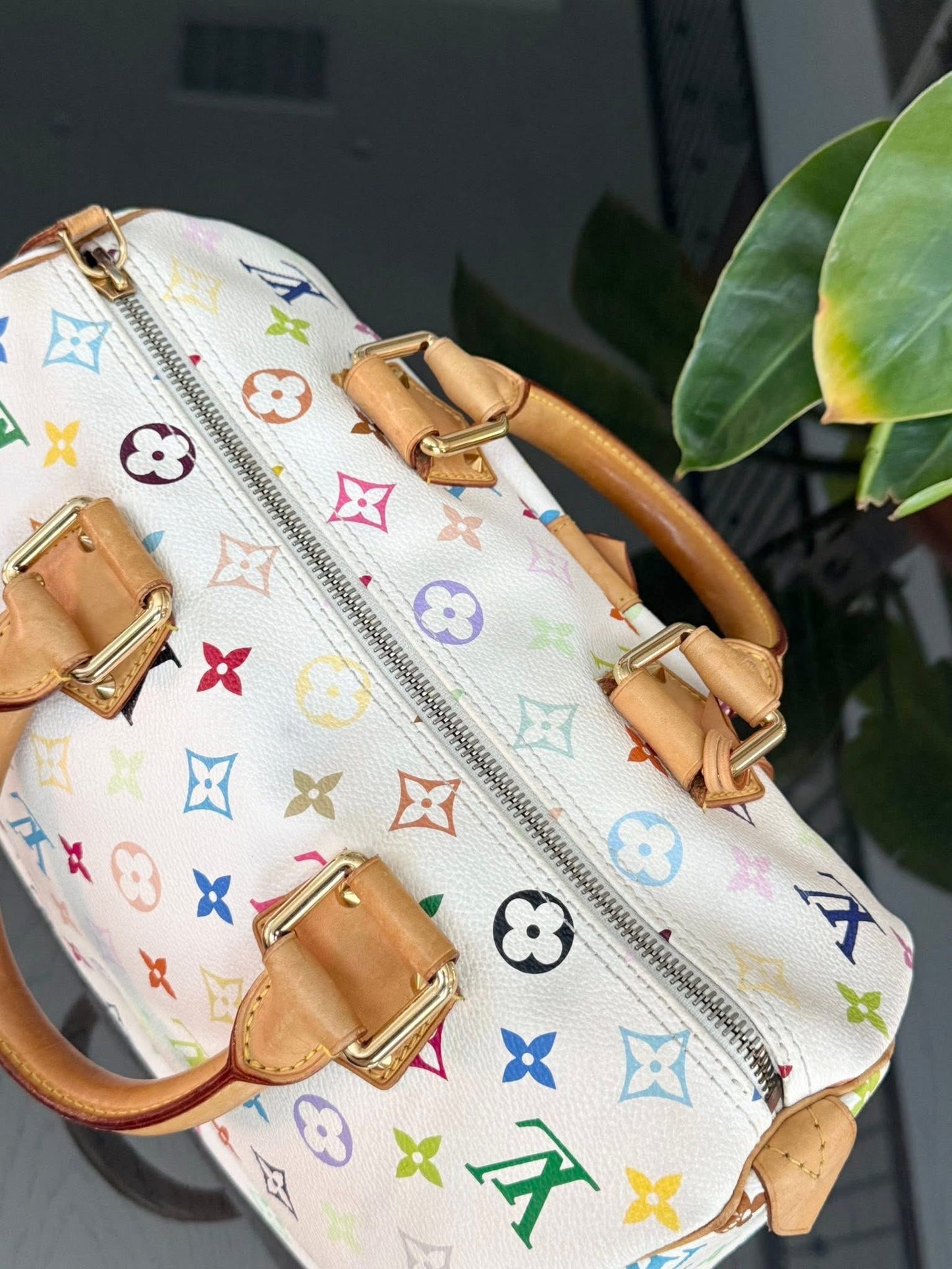 Multicolor Speedy 30 with Dustbag, Insert Organizer and generic twilly set 📅 Year: 2005