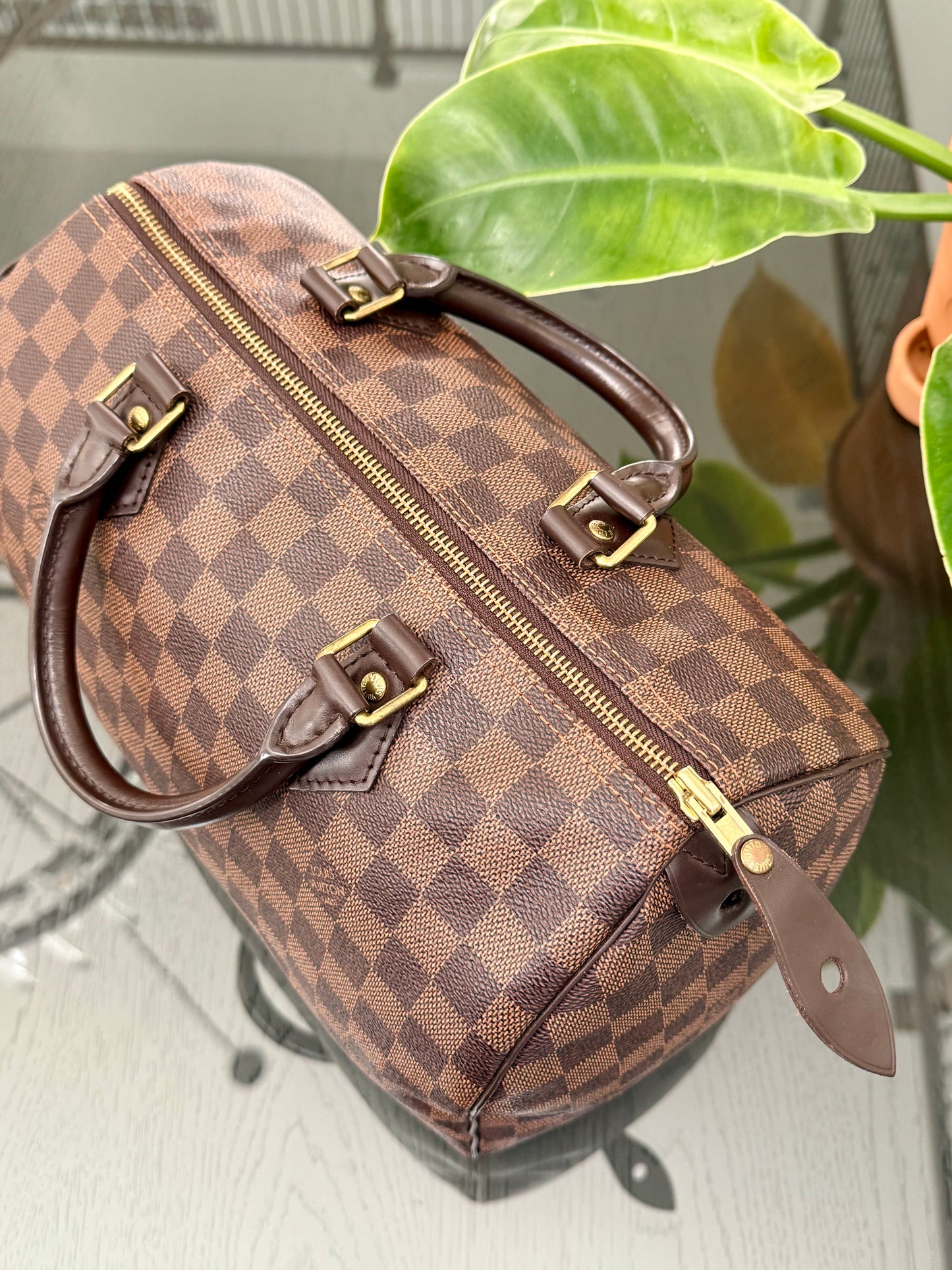 Speedy 30 in DE with 🔐 lock, Key and Dustbag -🗓️ Year: 2017