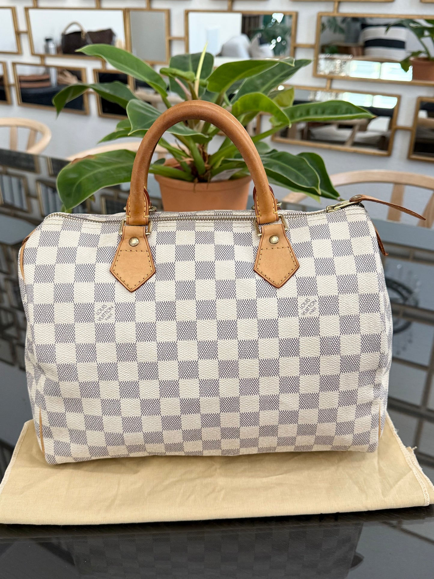 Speedy 30 Azur with Dustbag and insert organizer 
🗓️ Year: 2007