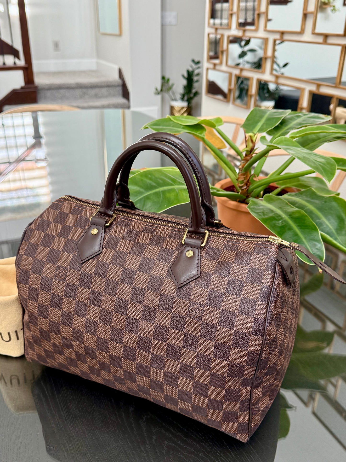 Speedy 30 in DE with 🔐 lock, Key and Dustbag -🗓️ Year: 2017