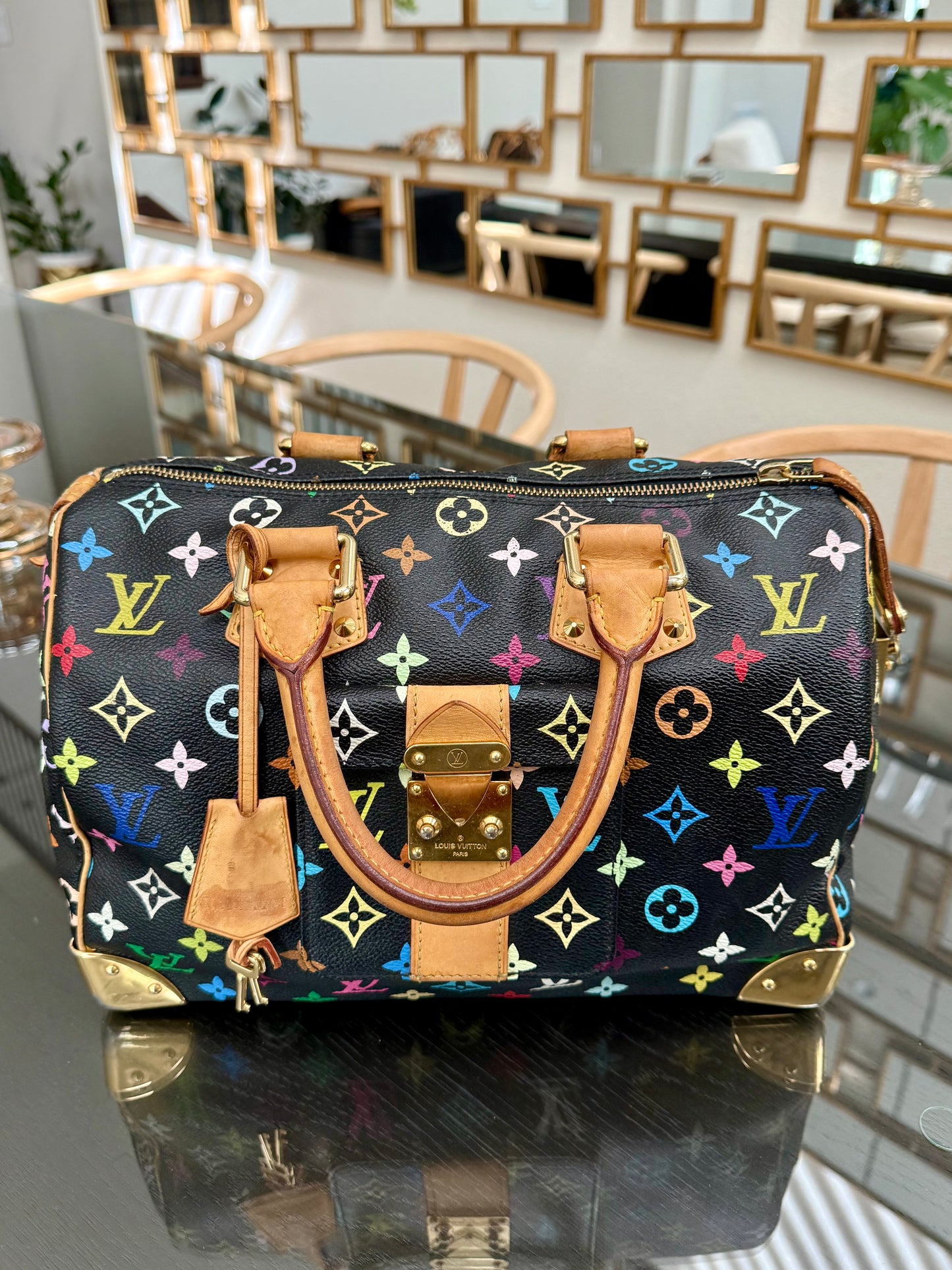 Multicolor Speedy 30 with Dustbag, Insert Organizer and twilly set 📅 Year: 2008