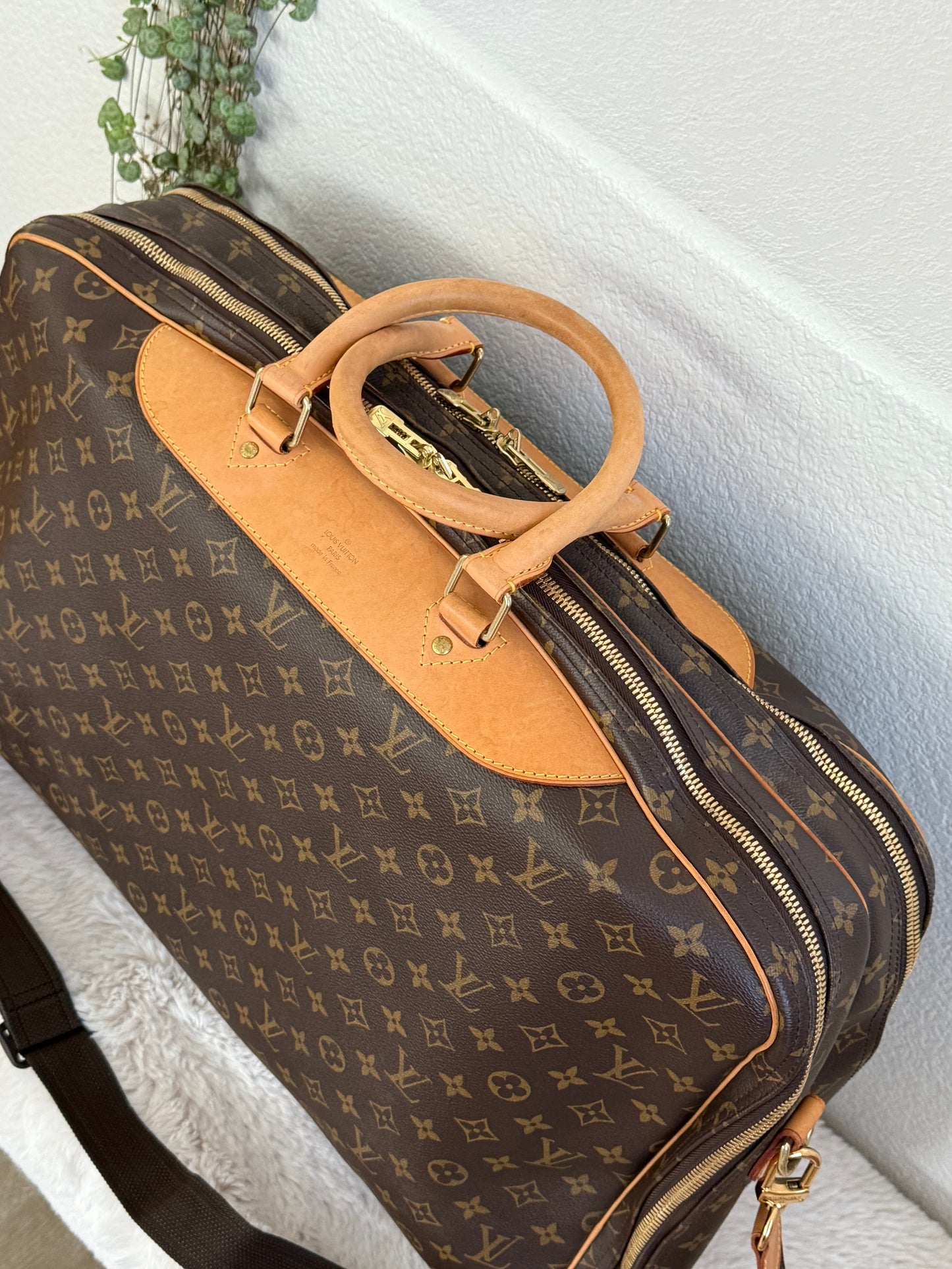 Alize II with Strap and Poignet -🗓️ Year 2005
